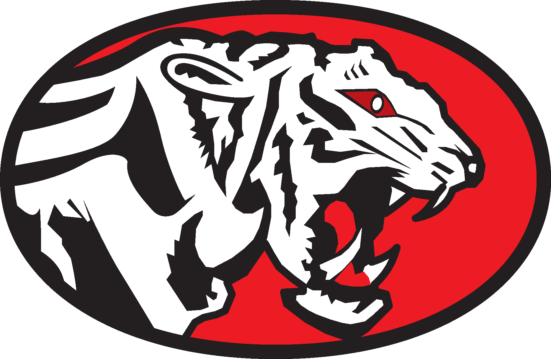 707 Special Mission Group Logo Vector Logo